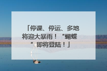 停课、停运、多地将迎大暴雨！“蝴蝶”即将登陆！
