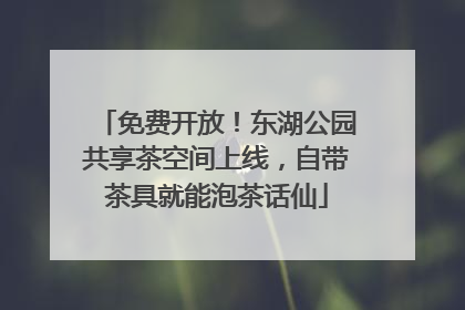 免费开放！东湖公园共享茶空间上线，自带茶具就能泡茶话仙
