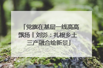 党旗在基层一线高高飘扬丨刘影：扎根乡土 三产融合绘新景