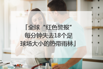 全球“红色警报”  每分钟失去18个足球场大小的热带雨林