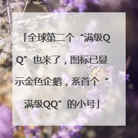 全球第二个“满级QQ”也来了，图标已显示金色企鹅，系首个“满级QQ”的小号