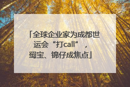 全球企业家为成都世运会“打call”，蜀宝、锦仔成焦点