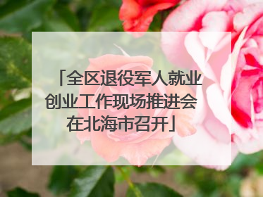 全区退役军人就业创业工作现场推进会在北海市召开