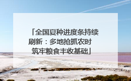 全国夏种进度条持续刷新：多地抢抓农时 筑牢粮食丰收基础