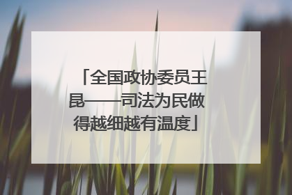 全国政协委员王昆——司法为民做得越细越有温度
