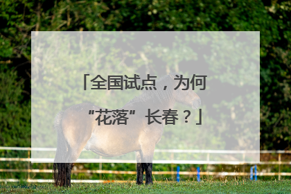 全国试点，为何“花落”长春？