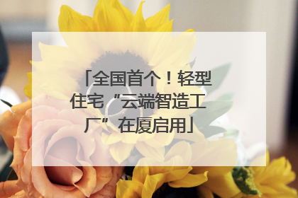 全国首个！轻型住宅“云端智造工厂”在厦启用