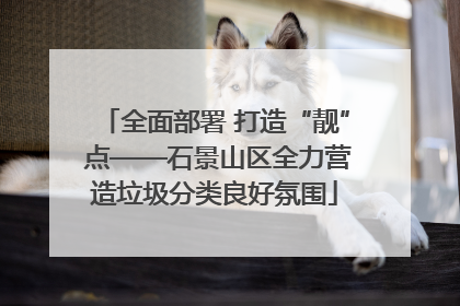 全面部署 打造“靓” 点——石景山区全力营造垃圾分类良好氛围