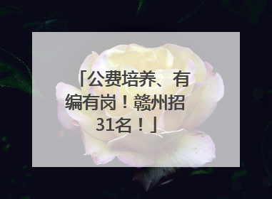公费培养、有编有岗！赣州招31名！