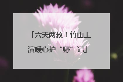 六天两救！竹山上演暖心护“野”记