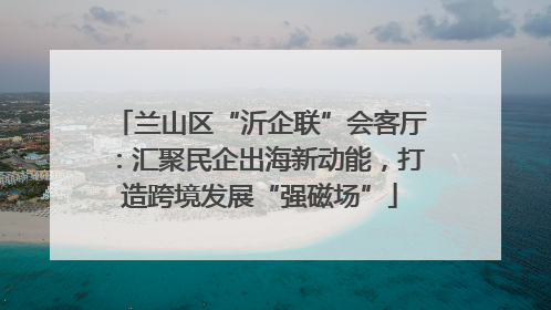兰山区“沂企联”会客厅：汇聚民企出海新动能，打造跨境发展“强磁场”