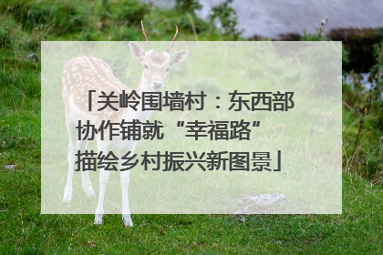 关岭围墙村：东西部协作铺就“幸福路” 描绘乡村振兴新图景