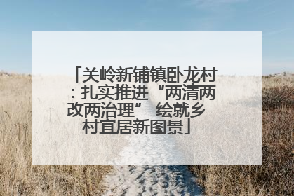 关岭新铺镇卧龙村：扎实推进“两清两改两治理” 绘就乡村宜居新图景
