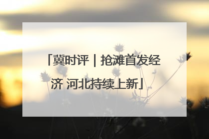 冀时评｜抢滩首发经济 河北持续上新