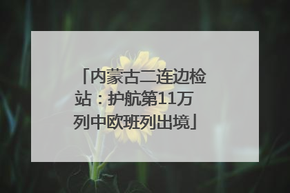 内蒙古二连边检站：护航第11万列中欧班列出境