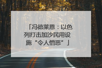 冯德莱恩：以色列打击加沙民用设施“令人憎恶”