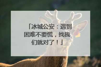 冰城公安：遇到困难不要慌，找我们就对了！