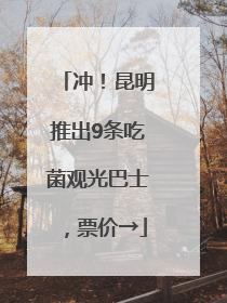 冲！昆明推出9条吃菌观光巴士，票价→