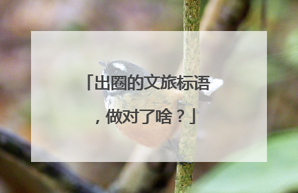 出圈的文旅标语，做对了啥？