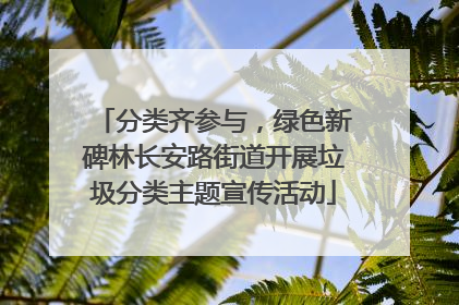 分类齐参与，绿色新碑林长安路街道开展垃圾分类主题宣传活动