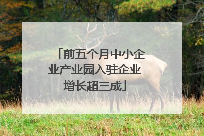 前五个月中小企业产业园入驻企业增长超三成