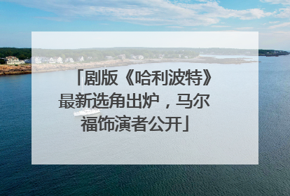 剧版《哈利波特》最新选角出炉，马尔福饰演者公开
