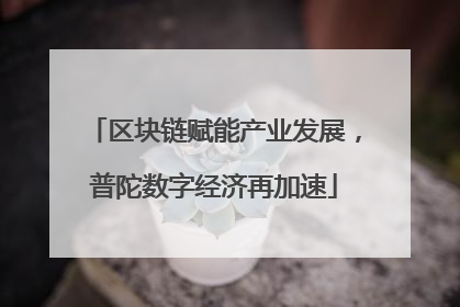 区块链赋能产业发展，普陀数字经济再加速