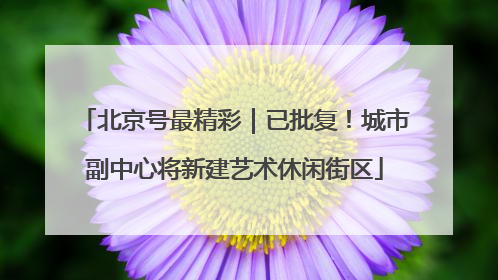北京号最精彩｜已批复！城市副中心将新建艺术休闲街区