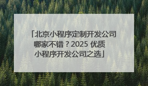 北京小程序定制开发公司哪家不错？2025 优质小程序开发公司之选