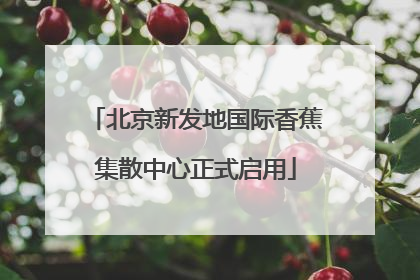 北京新发地国际香蕉集散中心正式启用