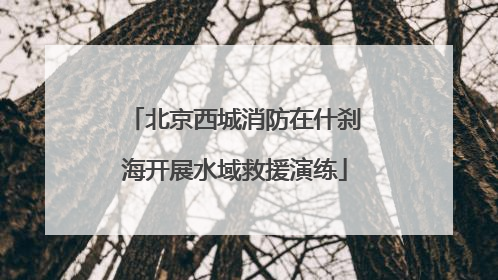 北京西城消防在什刹海开展水域救援演练