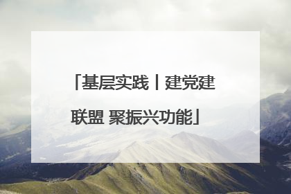 基层实践丨建党建联盟 聚振兴功能