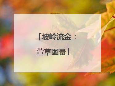 坡岭流金：萱草图景