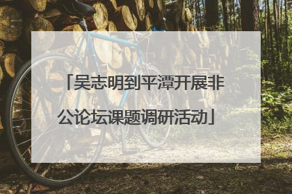 吴志明到平潭开展非公论坛课题调研活动