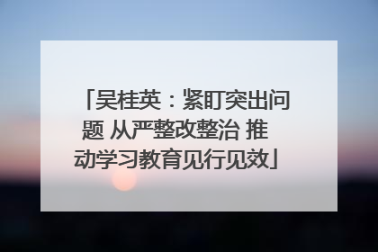 吴桂英：紧盯突出问题 从严整改整治 推动学习教育见行见效