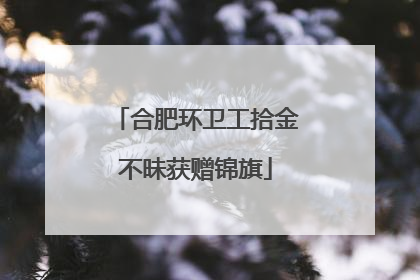 合肥环卫工拾金不昧获赠锦旗