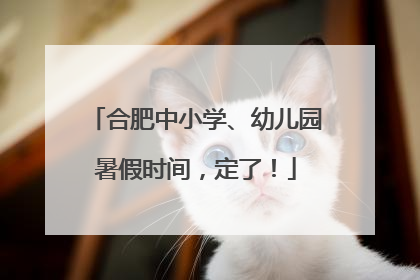 合肥中小学、幼儿园暑假时间，定了！