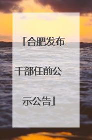 合肥发布干部任前公示公告