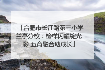 合肥市长江路第三小学兰亭分校：榜样闪耀绽光彩 五育融合助成长