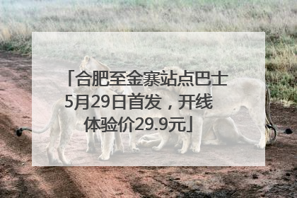 合肥至金寨站点巴士5月29日首发，开线体验价29.9元
