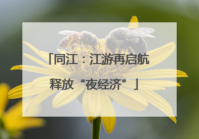 同江：江游再启航 释放“夜经济”