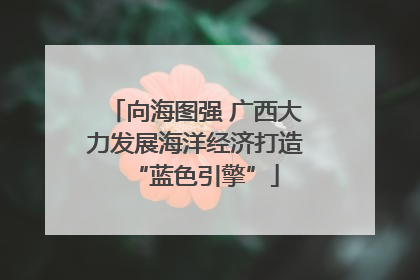 向海图强 广西大力发展海洋经济打造“蓝色引擎”