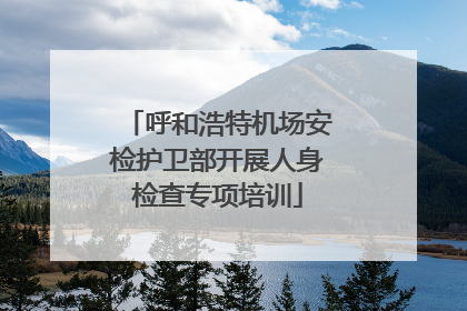 呼和浩特机场安检护卫部开展人身检查专项培训
