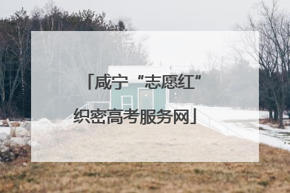 咸宁“志愿红”织密高考服务网