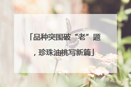 品种突围破“老”题，珍珠油桃写新篇