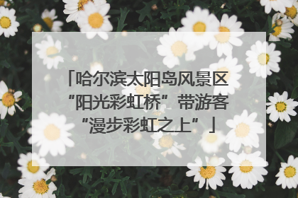 哈尔滨太阳岛风景区“阳光彩虹桥”带游客“漫步彩虹之上”