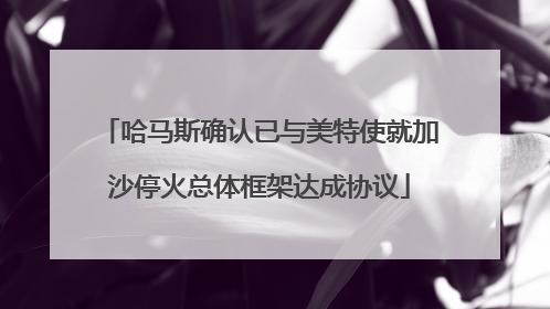 哈马斯确认已与美特使就加沙停火总体框架达成协议