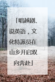 唱越剧、说英语，文化特派员在山乡开启双向奔赴