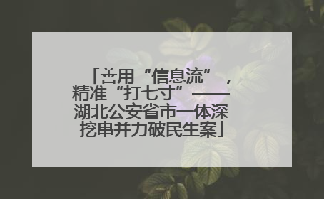 善用“信息流”，精准“打七寸”——湖北公安省市一体深挖串并力破民生案