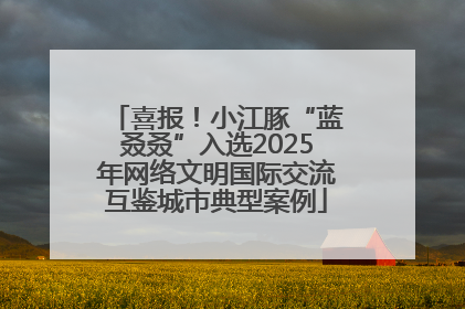 喜报！小江豚“蓝叒叒”入选2025年网络文明国际交流互鉴城市典型案例